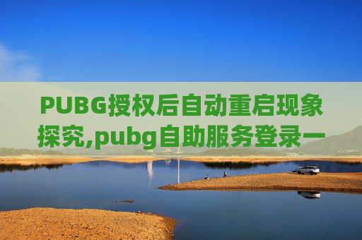 PUBG授权后自动重启现象探究,pubg自助服务登录一直转圈圈