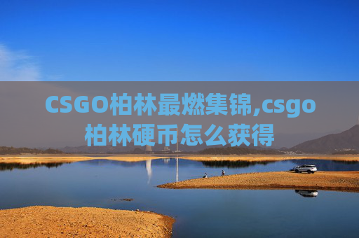 CSGO柏林最燃集锦,csgo柏林硬币怎么获得