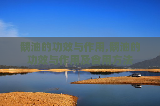 鹅油的功效与作用,鹅油的功效与作用及食用方法