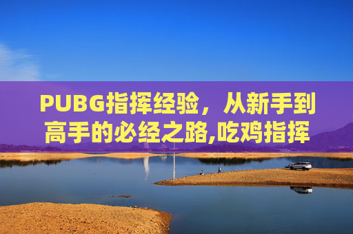 PUBG指挥经验，从新手到高手的必经之路,吃鸡指挥官前多少名能带出去