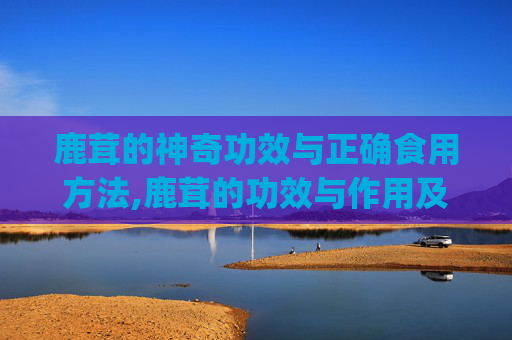 鹿茸的神奇功效与正确食用方法,鹿茸的功效与作用及食用方法(2)