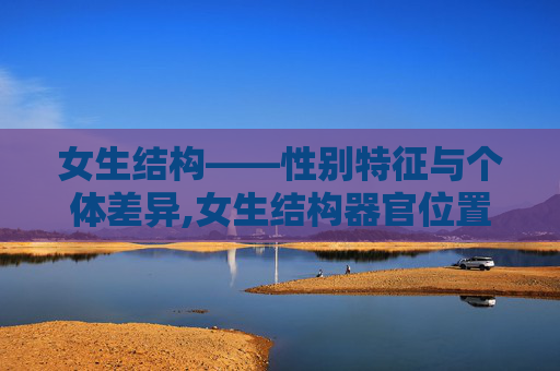 女生结构——性别特征与个体差异,女生结构器官位置图