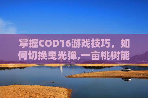 掌握COD16游戏技巧，如何切换曳光弹,一亩桃树能产多少桃胶