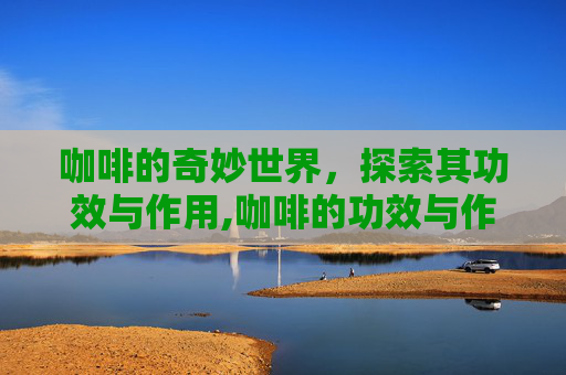 咖啡的奇妙世界，探索其功效与作用,咖啡的功效与作用好处和坏处