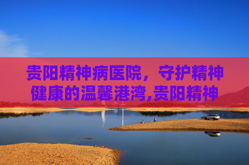 贵阳精神病医院，守护精神健康的温馨港湾,贵阳精神病医院有哪些