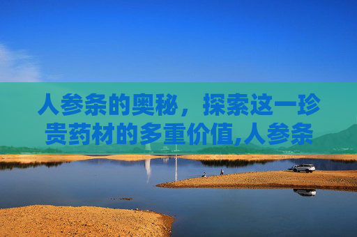 人参条的奥秘，探索这一珍贵药材的多重价值,人参条 豆制品