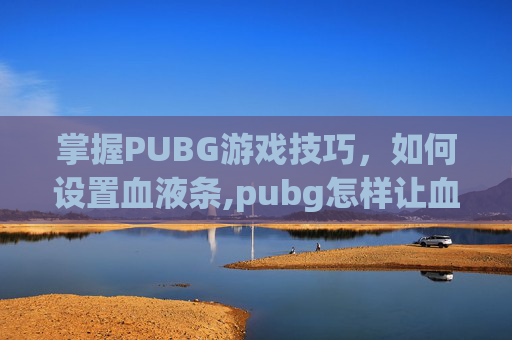掌握PUBG游戏技巧,如何设置血液条,pubg怎样让血看得更清楚 掌握PUBG游戏技巧,如何设置血液条,pubg怎样让血看得更清楚
