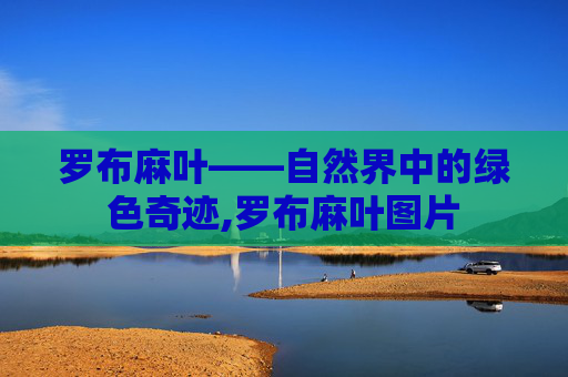 罗布麻叶——自然界中的绿色奇迹,罗布麻叶图片 罗布麻叶——自然界中的绿色奇迹,罗布麻叶图片