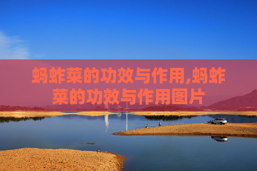 蚂蚱菜的功效与作用,蚂蚱菜的功效与作用图片 蚂蚱菜的功效与作用,蚂蚱菜的功效与作用图片