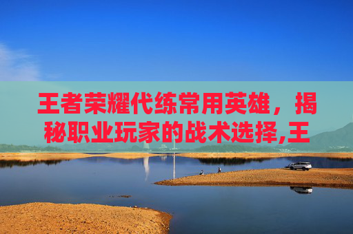 王者荣耀代练常用英雄,揭秘职业玩家的战术选择,王者荣耀代练常用英雄怎么获得 王者荣耀代练常用英雄,揭秘职业玩家的战术选择,王者荣耀代练常用英雄怎么获得
