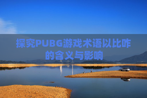 探究PUBG游戏术语以比咋的含义与影响