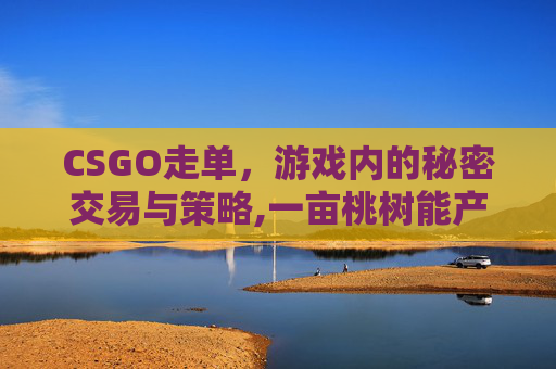 CSGO走单,游戏内的秘密交易与策略,一亩桃树能产多少桃胶 CSGO走单,游戏内的秘密交易与策略,一亩桃树能产多少桃胶