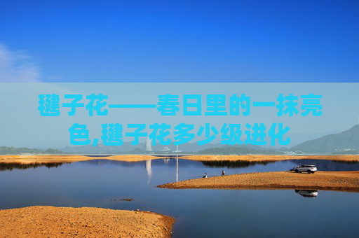 毽子花——春日里的一抹亮色,毽子花多少级进化 毽子花——春日里的一抹亮色,毽子花多少级进化