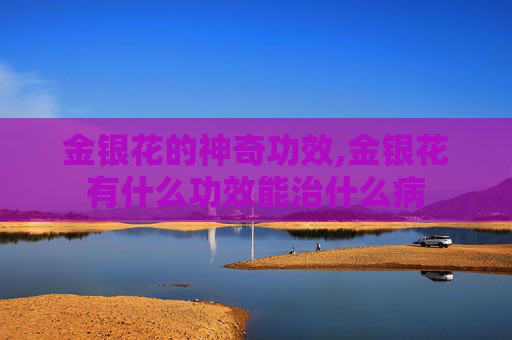 金银花的神奇功效,金银花有什么功效能治什么病 金银花的神奇功效,金银花有什么功效能治什么病