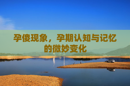孕傻现象,孕期认知与记忆的微妙变化 孕傻现象,孕期认知与记忆的微妙变化