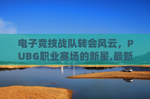 电子竞技战队转会风云,PUBG职业赛场的新星,最新pubg选手转会名单 电子竞技战队转会风云,PUBG职业赛场的新星,最新pubg选手转会名单