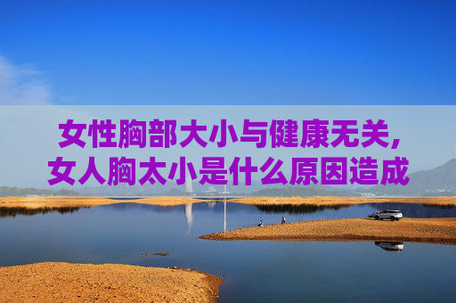女性胸部大小与健康无关,女人胸太小是什么原因造成的 女性胸部大小与健康无关,女人胸太小是什么原因造成的