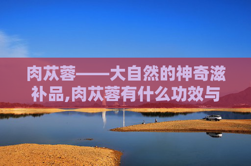 肉苁蓉——大自然的神奇滋补品,肉苁蓉有什么功效与作用 肉苁蓉——大自然的神奇滋补品,肉苁蓉有什么功效与作用