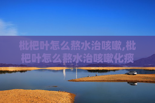 枇杷叶怎么熬水治咳嗽,枇杷叶怎么熬水治咳嗽化痰 枇杷叶怎么熬水治咳嗽,枇杷叶怎么熬水治咳嗽化痰