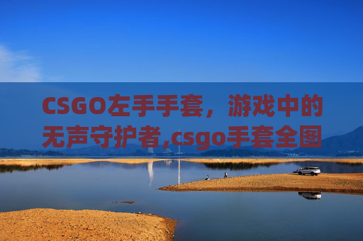 CSGO左手手套,游戏中的无声守护者,csgo手套全图鉴 CSGO左手手套,游戏中的无声守护者,csgo手套全图鉴