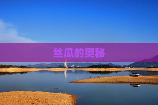 丝瓜的奥秘