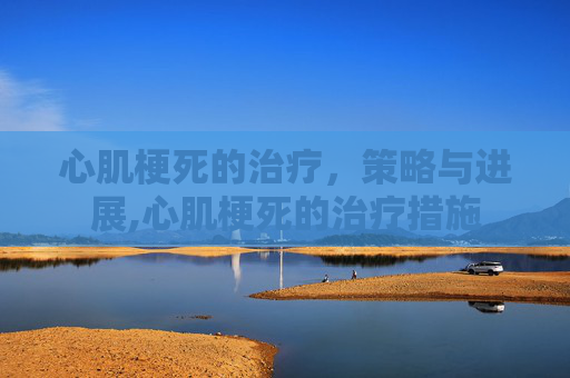 心肌梗死的治疗，策略与进展,心肌梗死的治疗措施