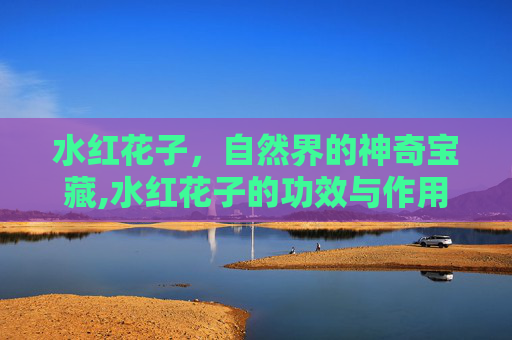 水红花子，自然界的神奇宝藏,水红花子的功效与作用及食用方法