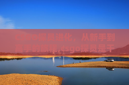 CSGO探员进化，从新手到高手的旅程,csgo探员是干嘛的