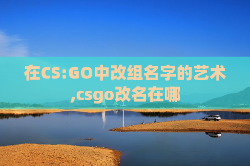在CS:GO中改组名字的艺术,csgo改名在哪