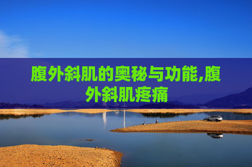 腹外斜肌的奥秘与功能,腹外斜肌疼痛