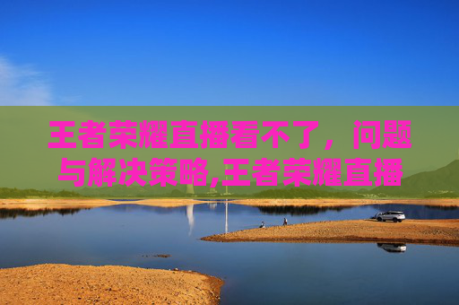 王者荣耀直播看不了，问题与解决策略,王者荣耀直播看不了视频