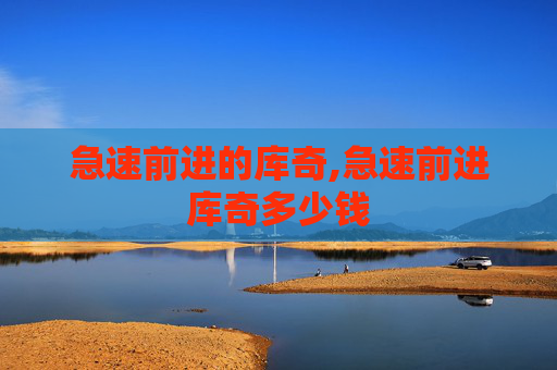 急速前进的库奇,急速前进库奇多少钱
