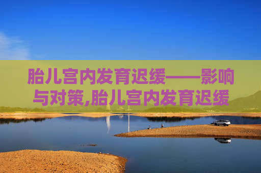 胎儿宫内发育迟缓——影响与对策,胎儿宫内发育迟缓治疗指南
