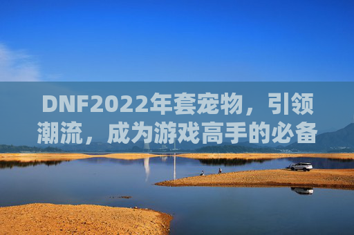 DNF2022年套宠物，引领潮流，成为游戏高手的必备之选,dnf2020宠物