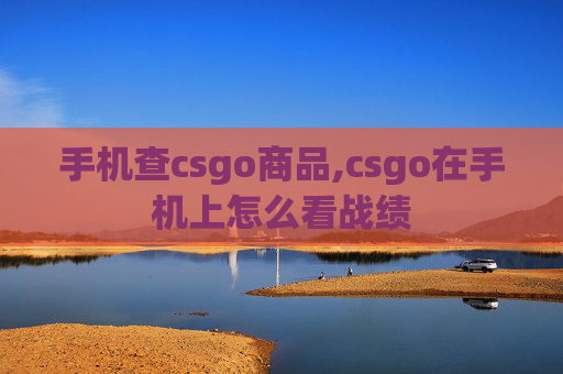 手机查csgo商品,csgo在手机上怎么看战绩 手机查csgo商品,csgo在手机上怎么看战绩