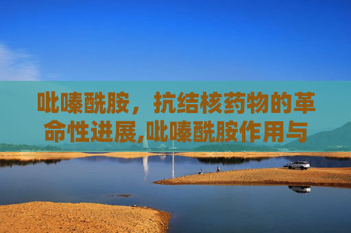 吡嗪酰胺,抗结核药物的革命性进展,吡嗪酰胺作用与功效 吡嗪酰胺,抗结核药物的革命性进展,吡嗪酰胺作用与功效
