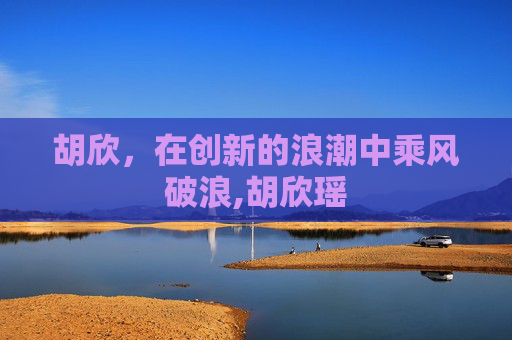 胡欣,在创新的浪潮中乘风破浪,胡欣瑶 胡欣,在创新的浪潮中乘风破浪,胡欣瑶