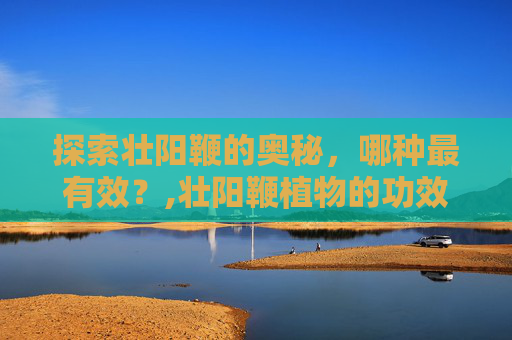 探索壮阳鞭的奥秘,哪种最有效?,壮阳鞭植物的功效 探索壮阳鞭的奥秘,哪种最有效?,壮阳鞭植物的功效