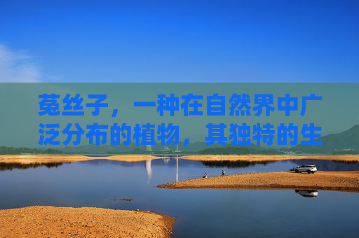 菟丝子，一种在自然界中广泛分布的植物，其独特的生长方式和丰富的药用价值使其成为中草药宝库中的一员。本文将深入探讨菟丝子的药理作用与功效，以及其在现代医学中的应用潜力。,巴戟天配菟丝子作用与功效