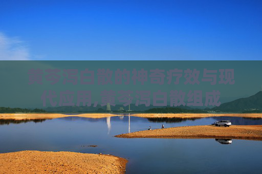 黄芩泻白散的神奇疗效与现代应用,黄芩泻白散组成 黄芩泻白散的神奇疗效与现代应用,黄芩泻白散组成