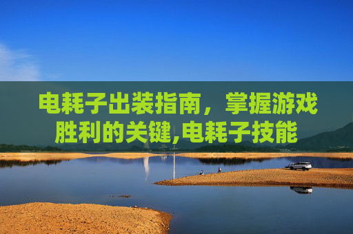 电耗子出装指南,掌握游戏胜利的关键,电耗子技能 电耗子出装指南,掌握游戏胜利的关键,电耗子技能