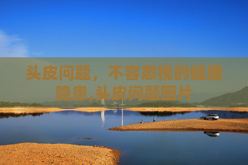 头皮问题，不容忽视的健康隐患,头皮问题图片