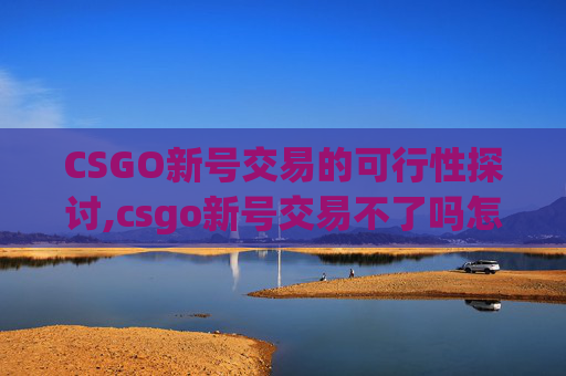 CSGO新号交易的可行性探讨,csgo新号交易不了吗怎么办 CSGO新号交易的可行性探讨,csgo新号交易不了吗怎么办