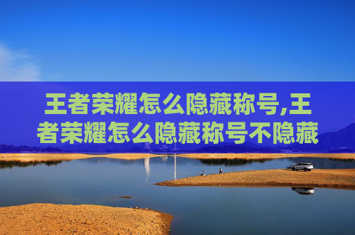 王者荣耀怎么隐藏称号,王者荣耀怎么隐藏称号不隐藏图标