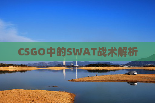 CSGO中的SWAT战术解析