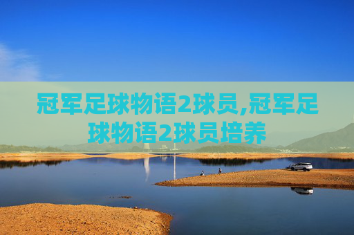 冠军足球物语2球员,冠军足球物语2球员培养