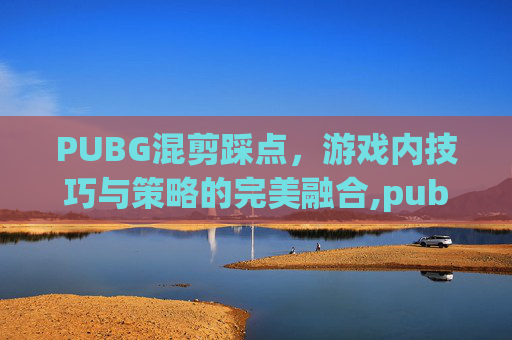 PUBG混剪踩点，游戏内技巧与策略的完美融合,pubg视频超燃剪辑
