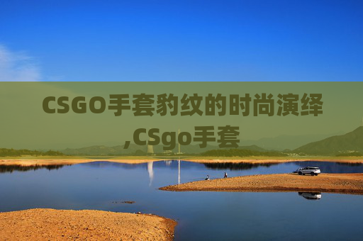 CSGO手套豹纹的时尚演绎,CSgo手套