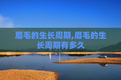 眉毛的生长周期,眉毛的生长周期有多久
