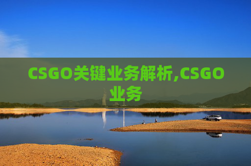 CSGO关键业务解析,CSGO业务